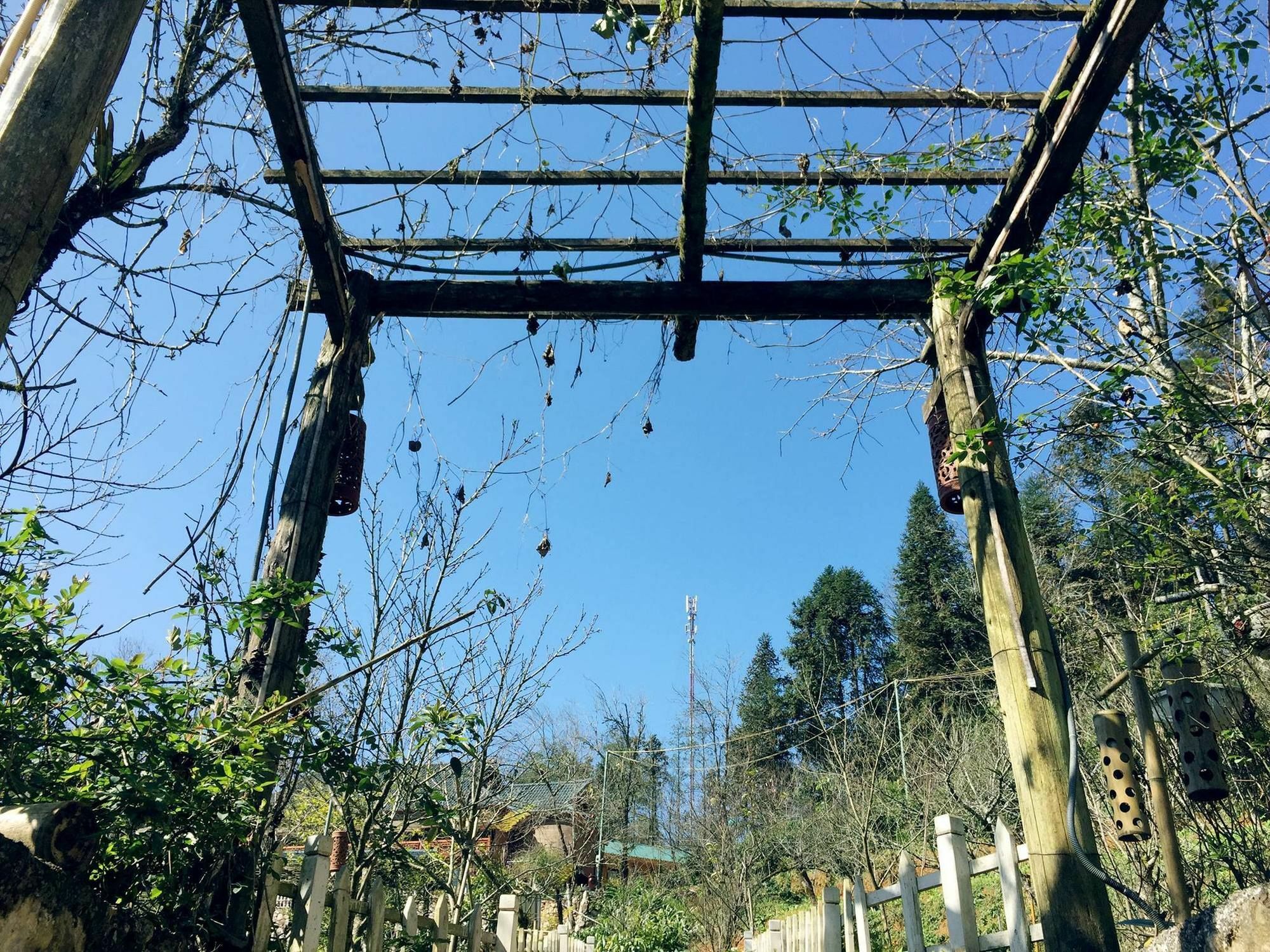 Sapa Garden Resort Kültér fotó